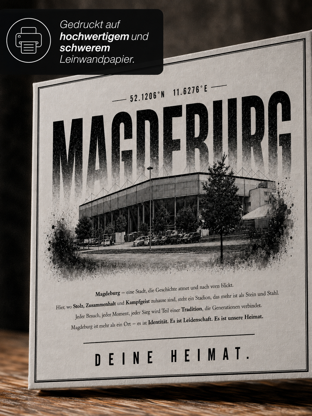 Magdeburg Stadion Leinwand