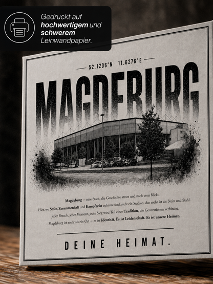 Magdeburg Stadion Leinwand
