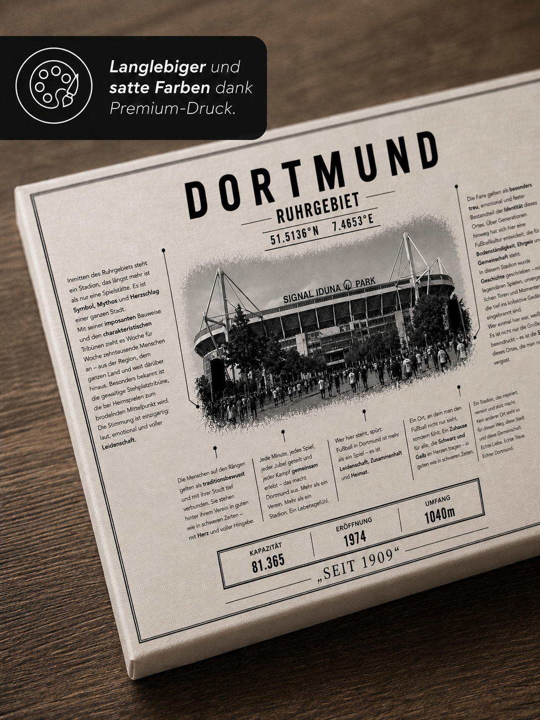 Dortmund Stadion Leinwand