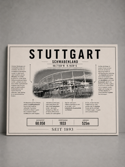 Stuttgart Stadion Leinwand
