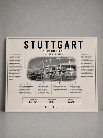 Stuttgart Stadion Leinwand