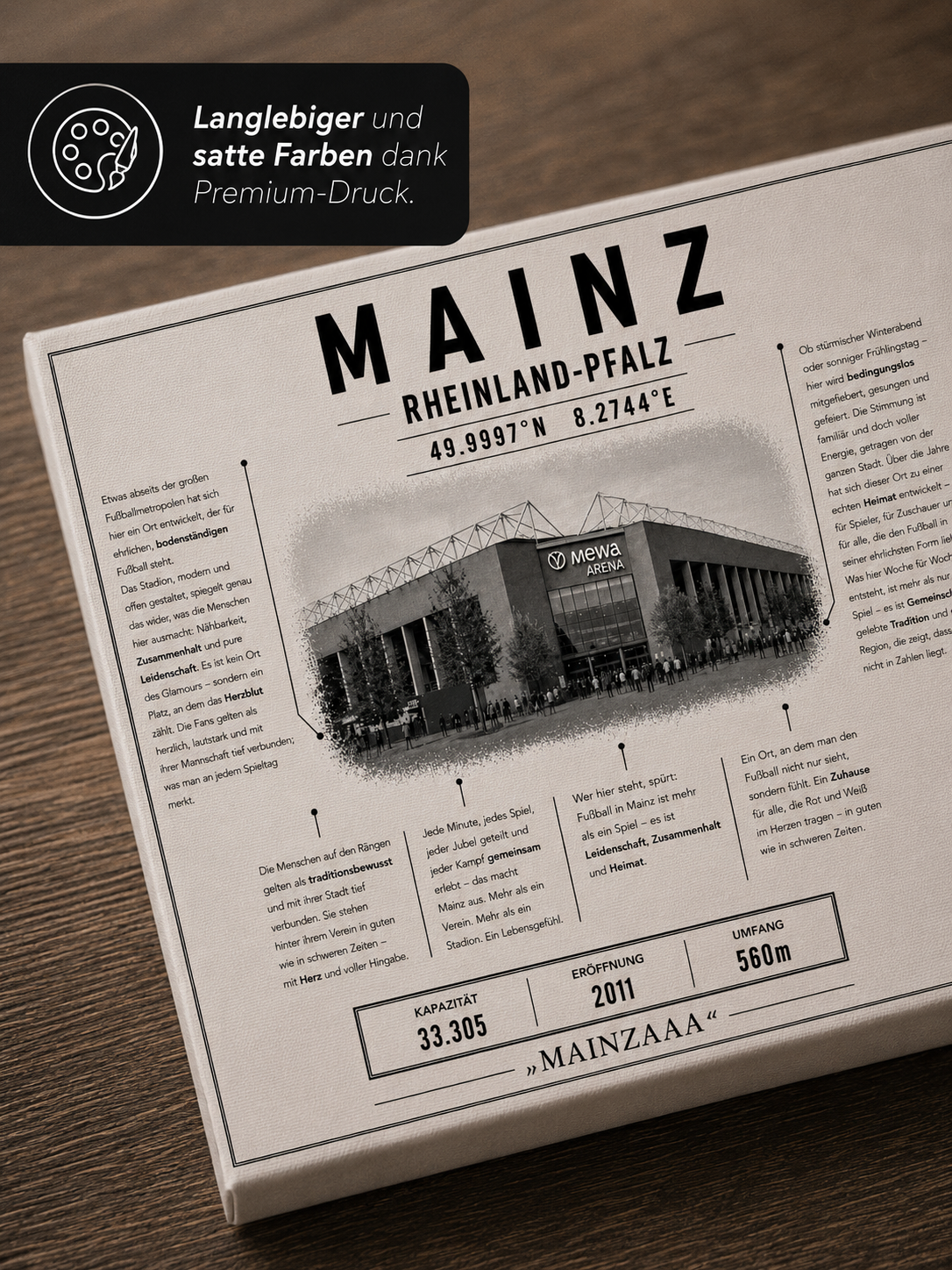 Mainz Stadion Leinwand – Detailansicht 3