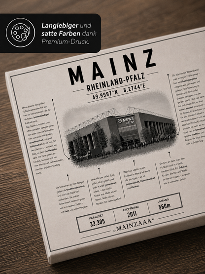 Mainz Stadion Leinwand