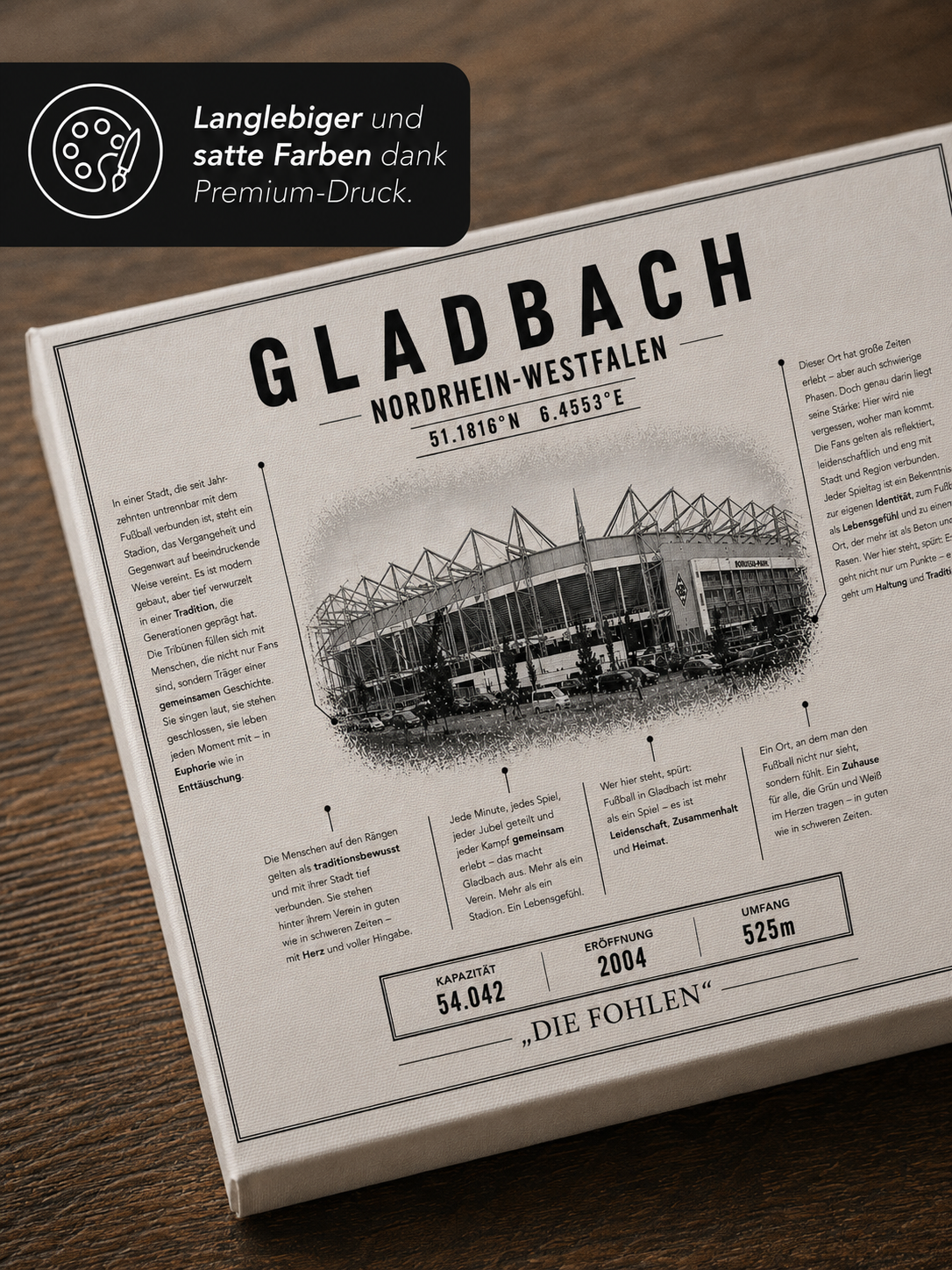 Gladbach Stadion Leinwand – Detailansicht 3