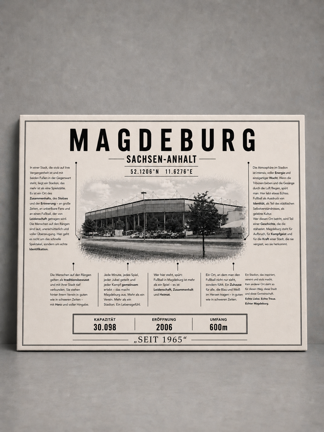 Magdeburg Stadion Leinwand