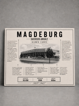 Magdeburg Stadion Leinwand