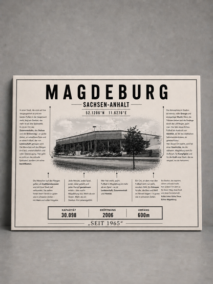 Magdeburg Stadion Leinwand