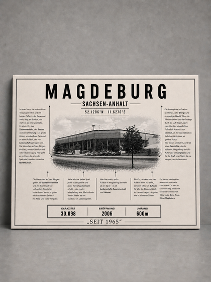 Magdeburg Stadion Leinwand