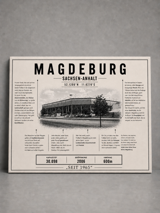 Magdeburg Stadion Leinwand