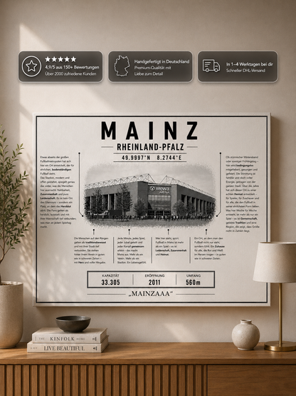 Mainz Stadion Leinwand