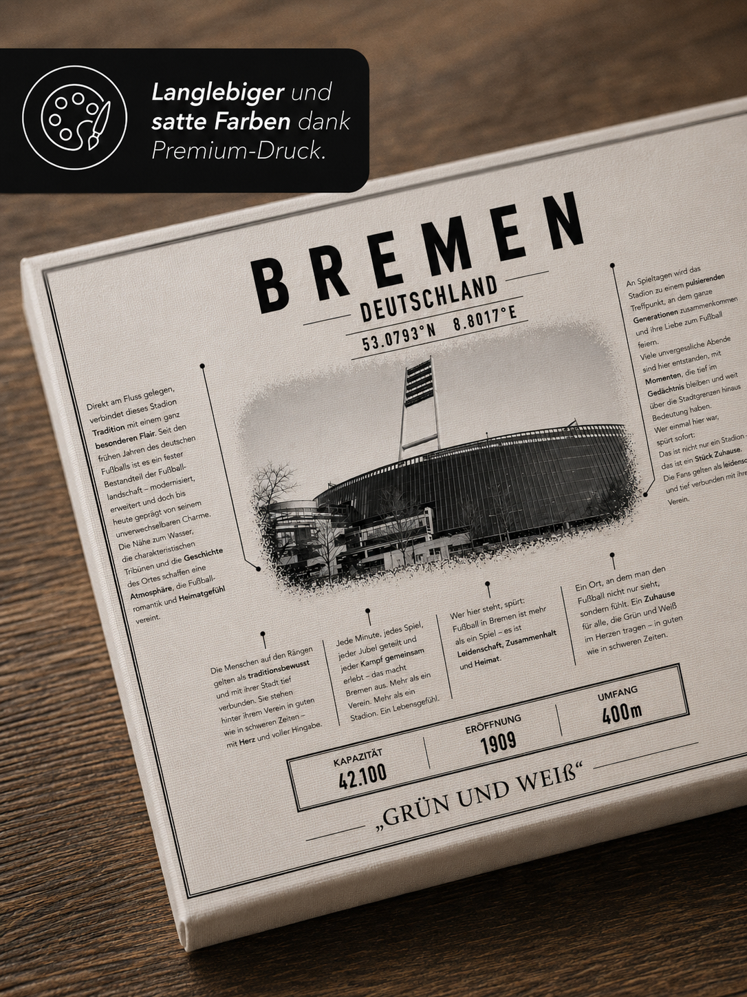 Bremen Stadion Leinwand – Detailansicht 3