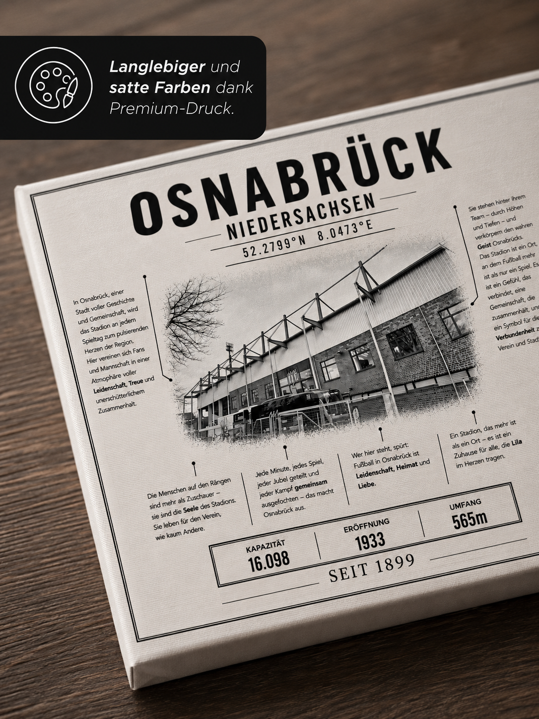 Osnabrück Stadion Leinwand