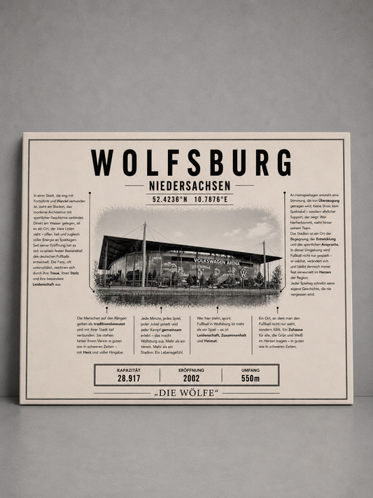 Wolfsburg Stadion Leinwand