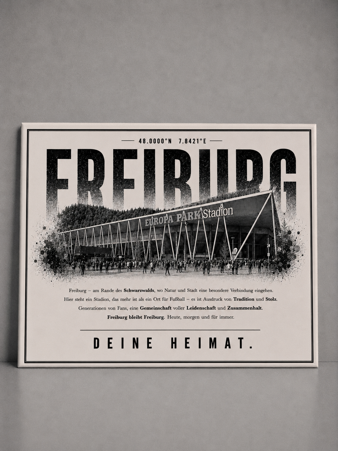 Freiburg Stadion Leinwand