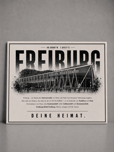 Freiburg Stadion Leinwand