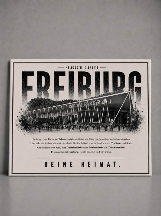 Freiburg Stadion Leinwand