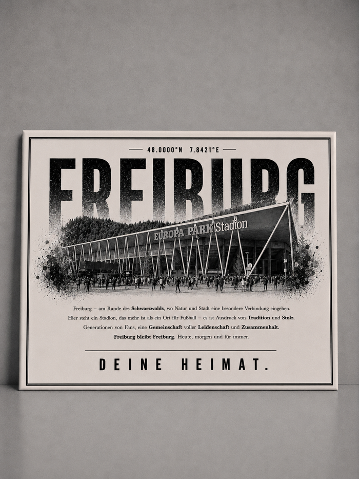 Freiburg Stadion Leinwand