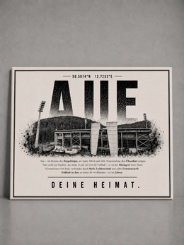 Aue Stadion Leinwand