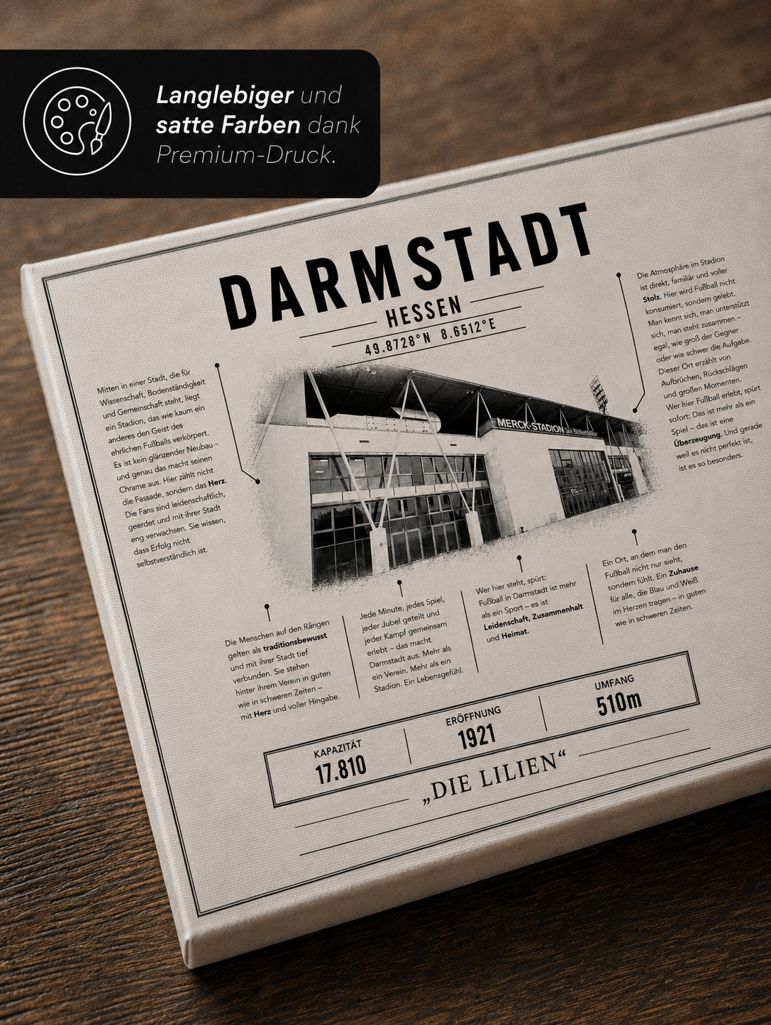 Darmstadt Stadion Leinwand – Detailansicht 3