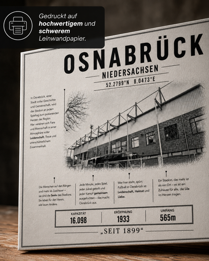 Osnabrück Stadion Leinwand