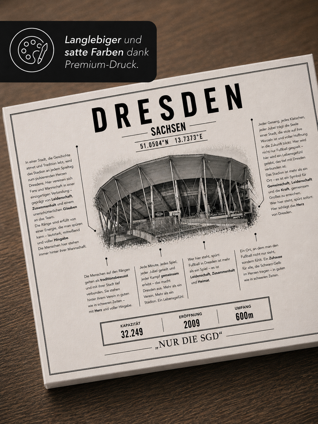 Dresden Stadion Leinwand