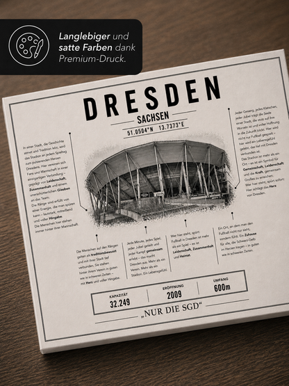 Dresden Stadion Leinwand