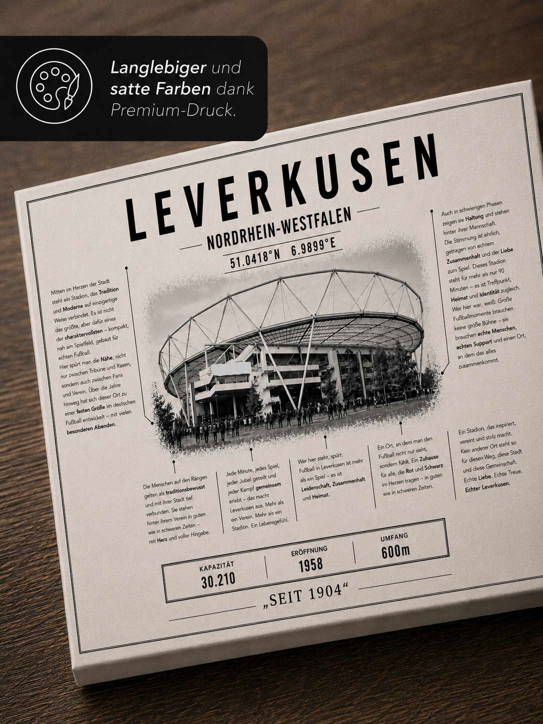 Leverkusen Stadion Leinwand
