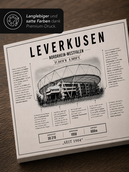 Leverkusen Stadion Leinwand