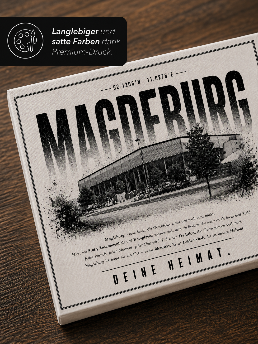 Magdeburg Stadion Leinwand – Detailansicht 3