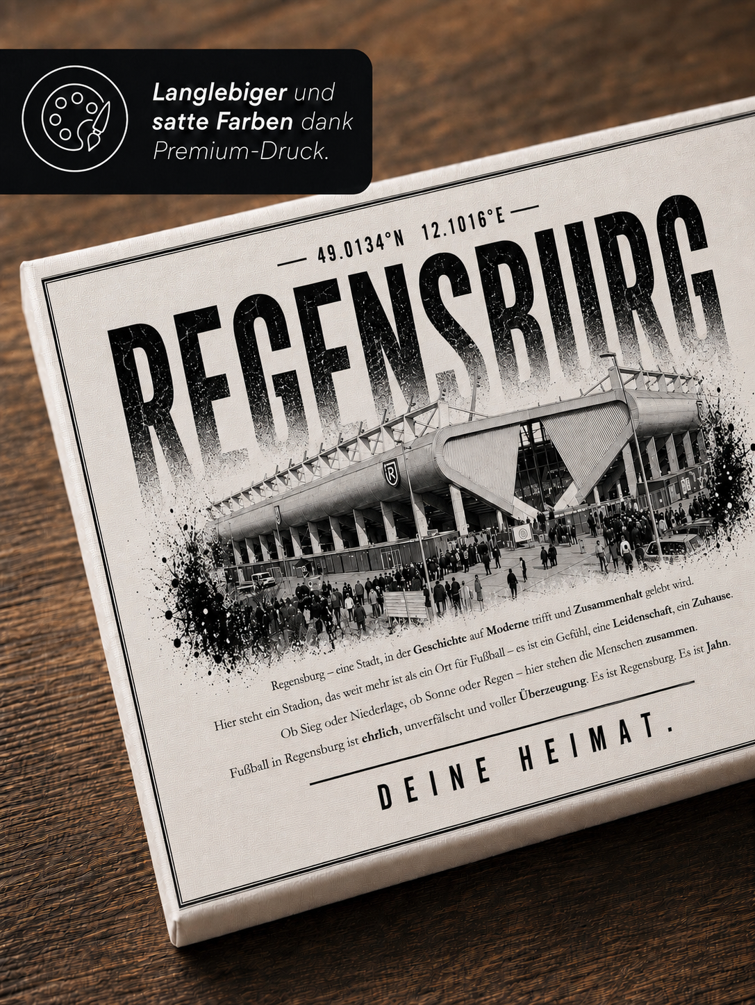 Regensburg Stadion Leinwand