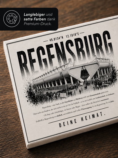 Regensburg Stadion Leinwand