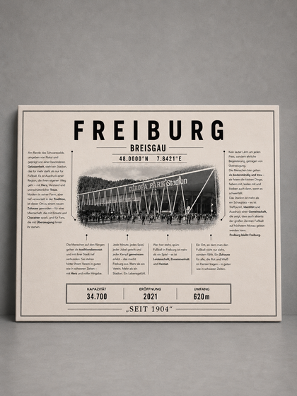 Freiburg Stadion Leinwand