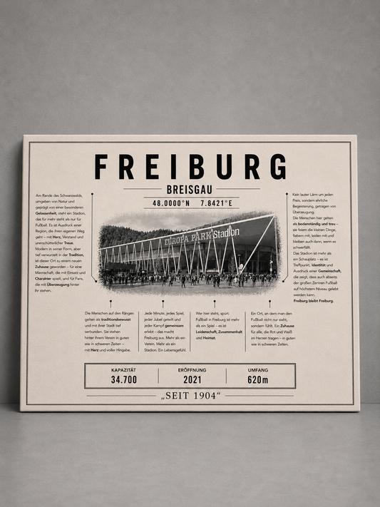 Freiburg Stadion Leinwand