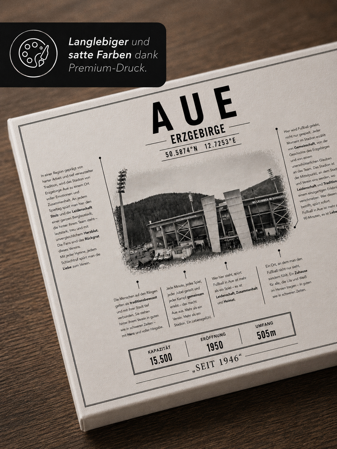 Aue Stadion Leinwand – Detailansicht 3