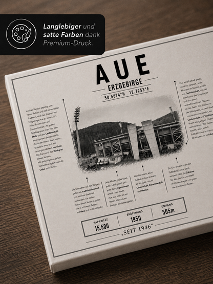 Aue Stadion Leinwand
