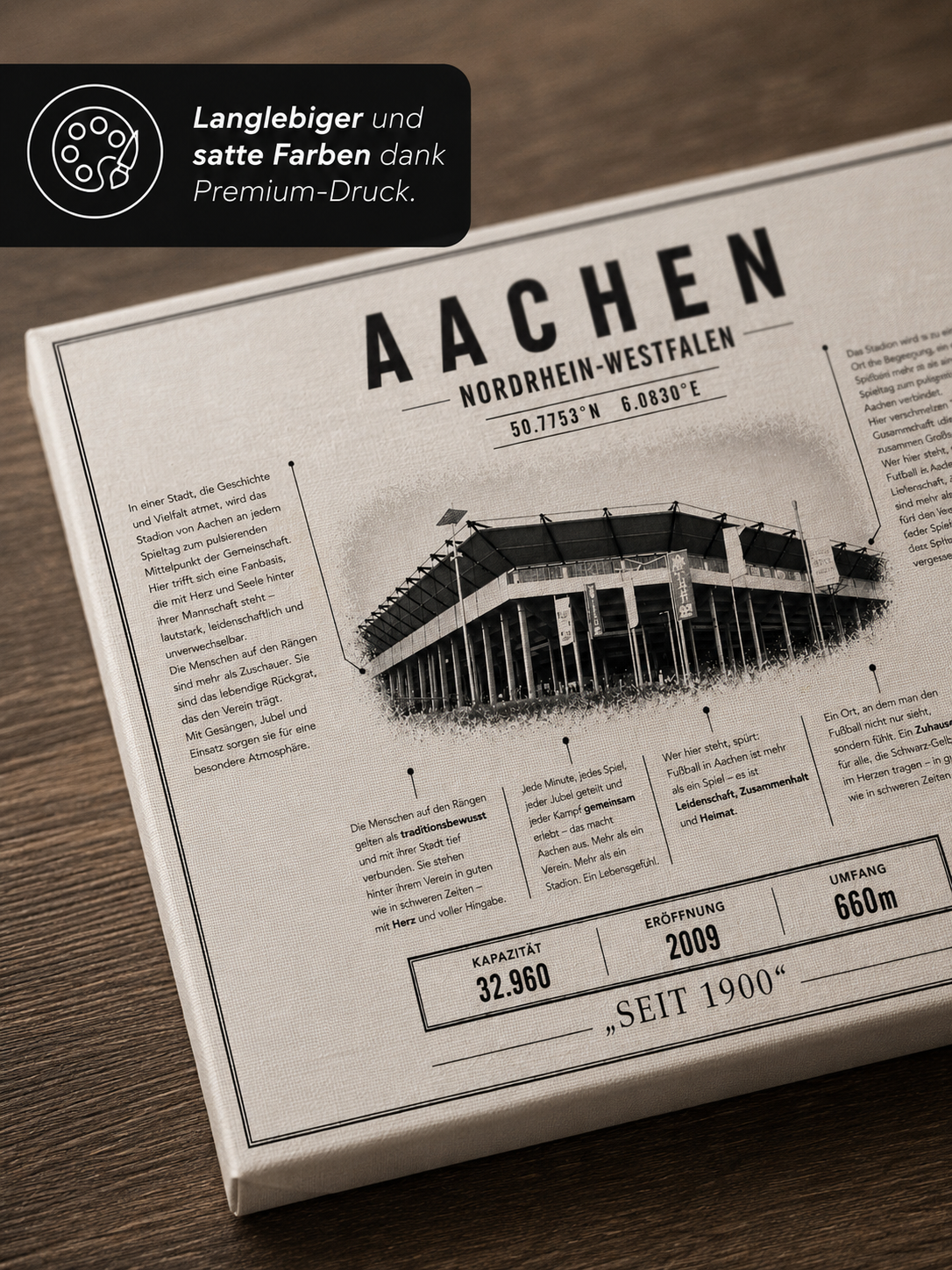 Aachen Stadion Leinwand