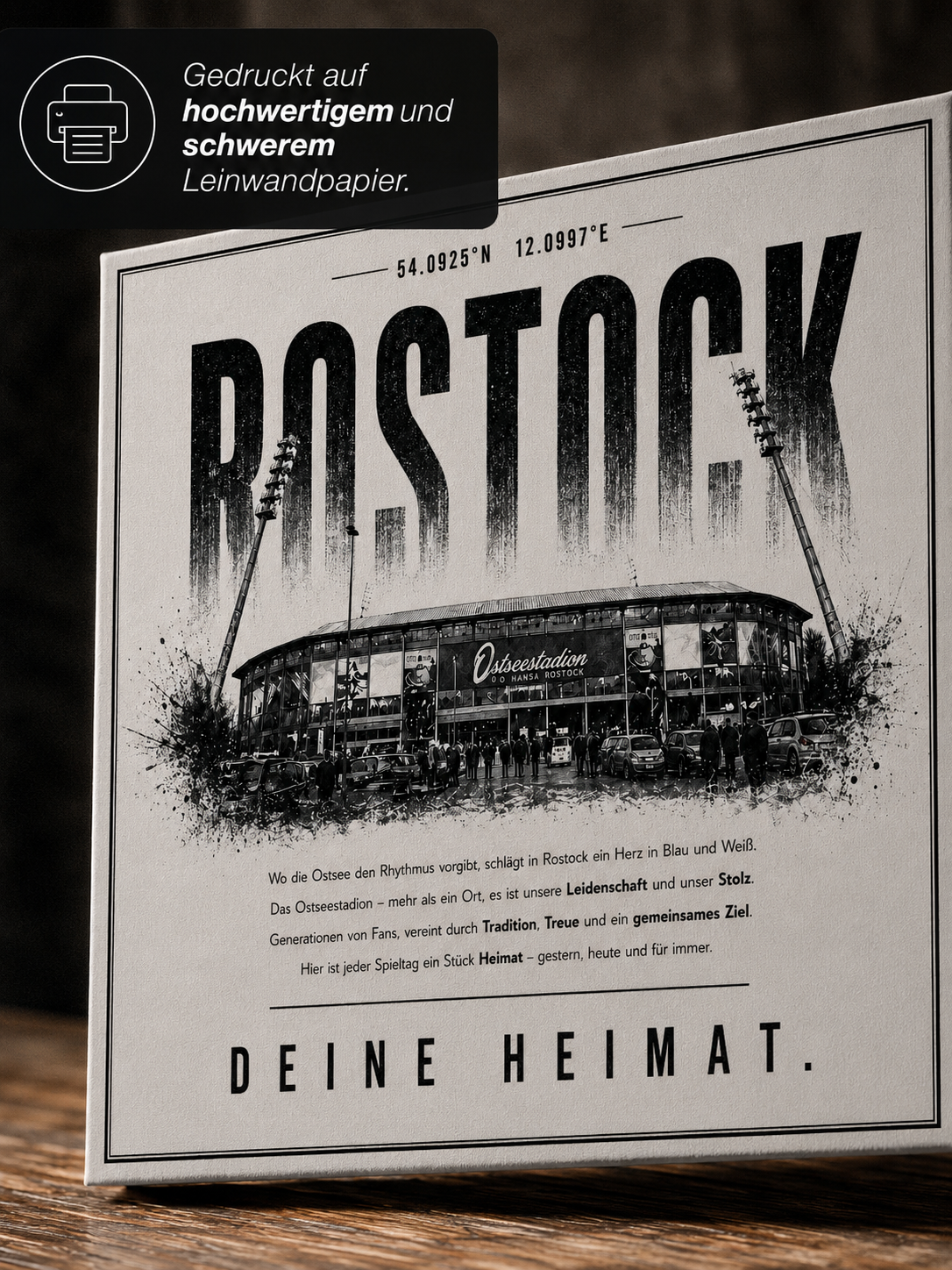 Rostock Stadion Leinwand – Detailansicht 2