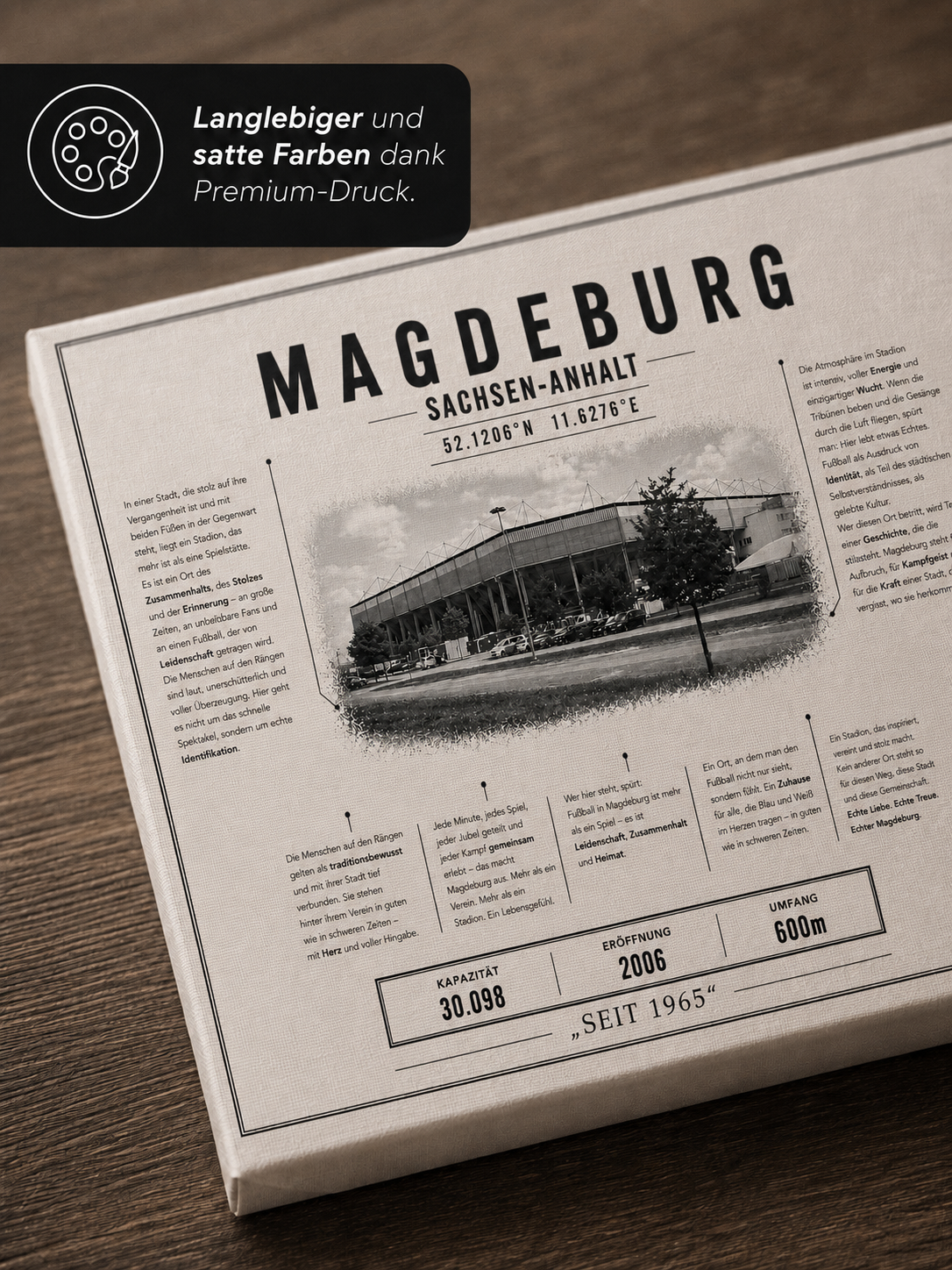 Magdeburg Stadion Leinwand