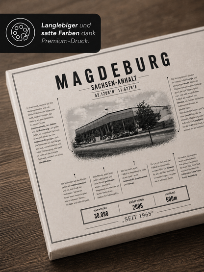 Magdeburg Stadion Leinwand
