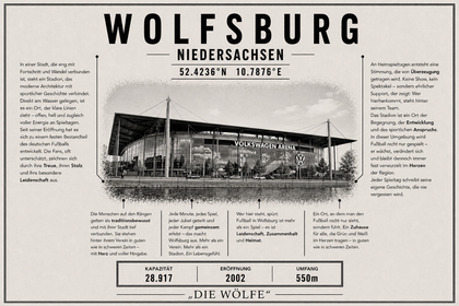 Wolfsburg Stadion Leinwand