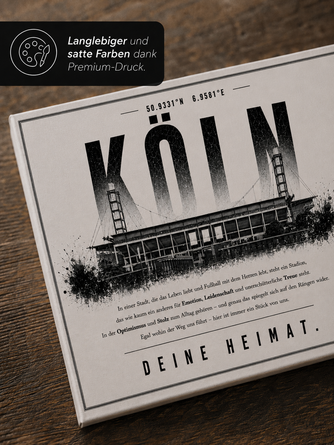 Köln Stadion Leinwand – Detailansicht 3