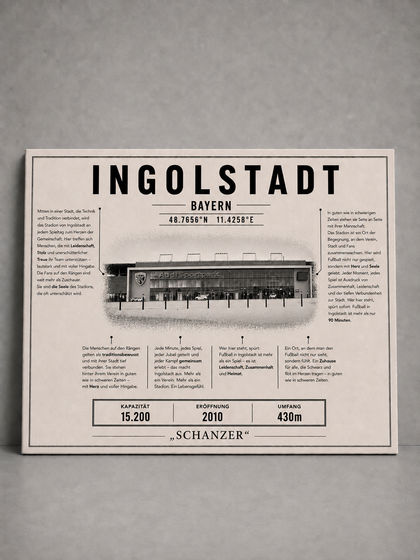 Ingolstadt Stadion Leinwand