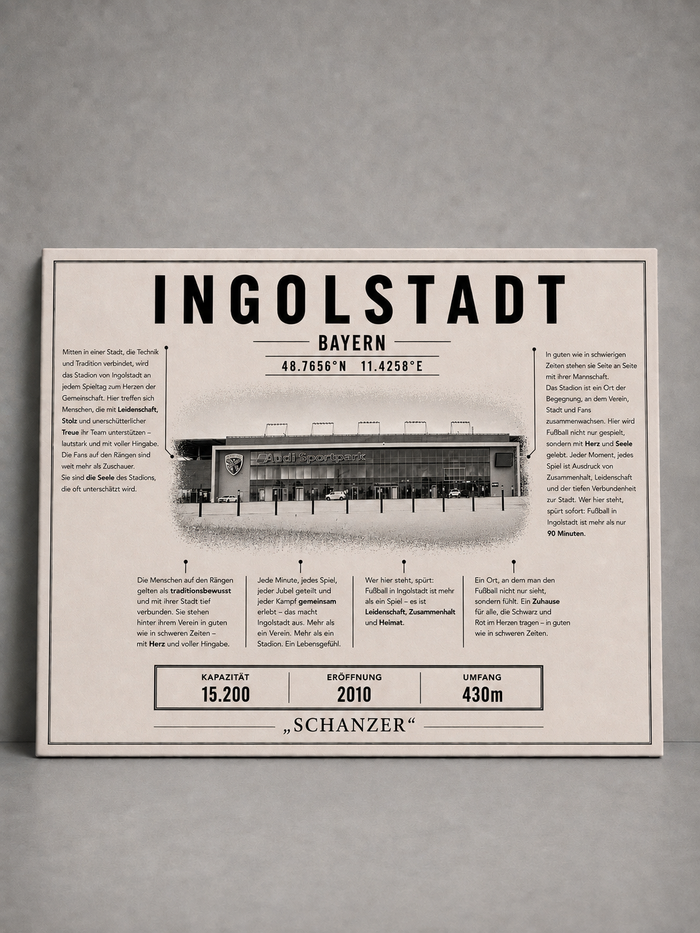 Ingolstadt Stadion Leinwand
