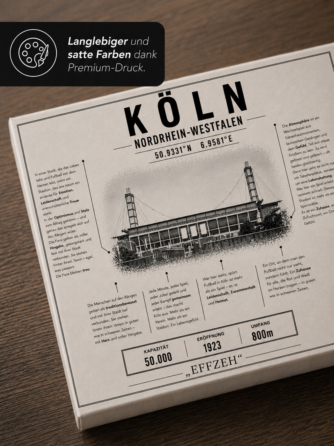 Köln Stadion Leinwand