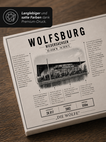 Wolfsburg Stadion Leinwand
