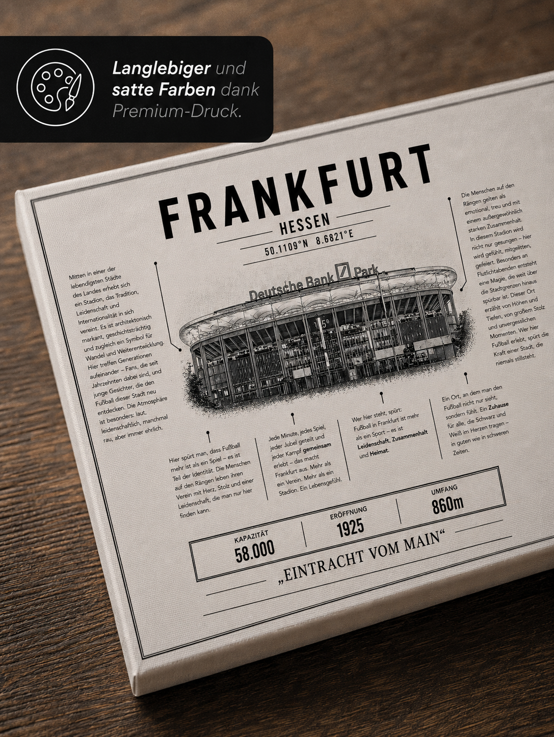 Frankfurt Stadion Leinwand
