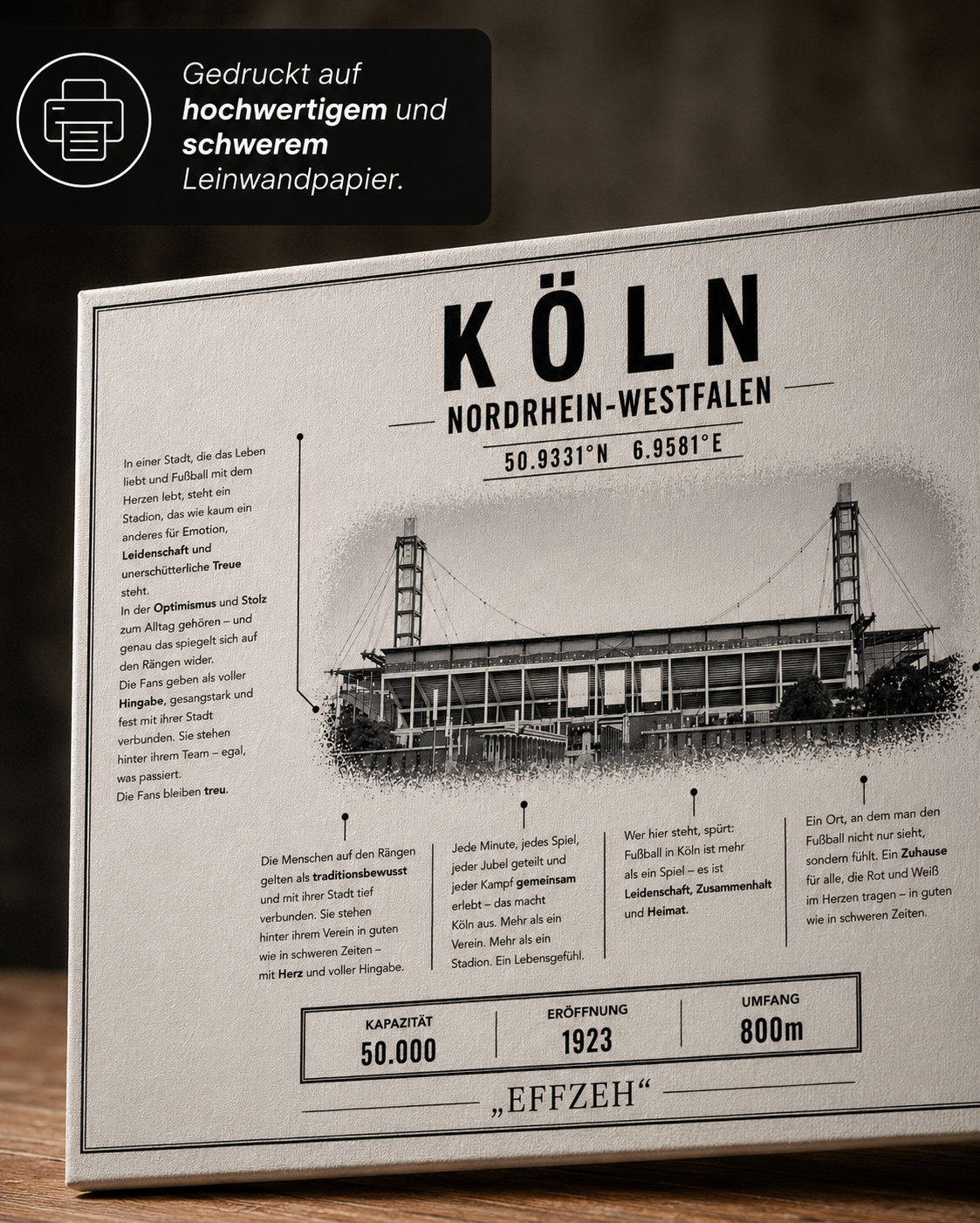 Köln Stadion Leinwand – Detailansicht 2