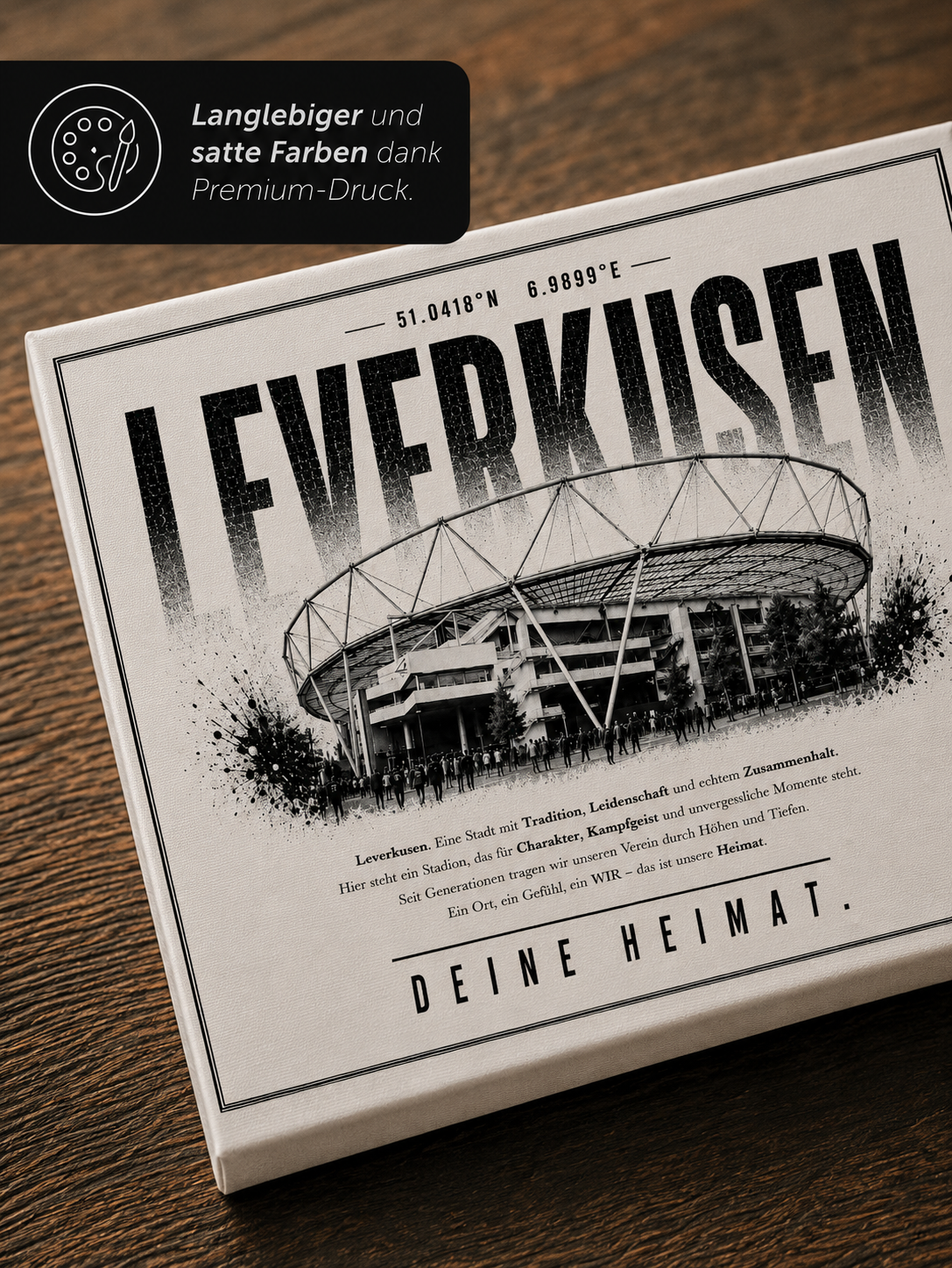 Leverkusen Stadion Leinwand – Detailansicht 3