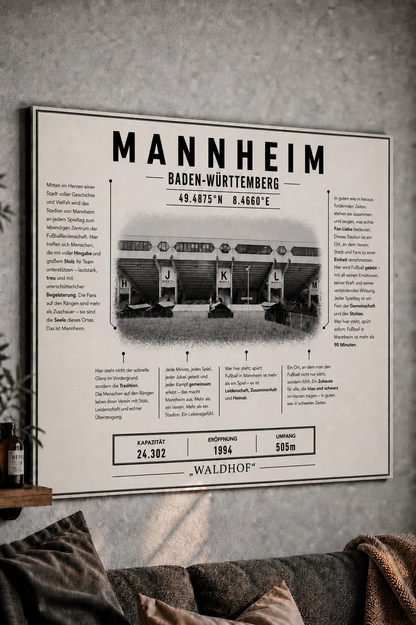 Mannheim Stadion Leinwand