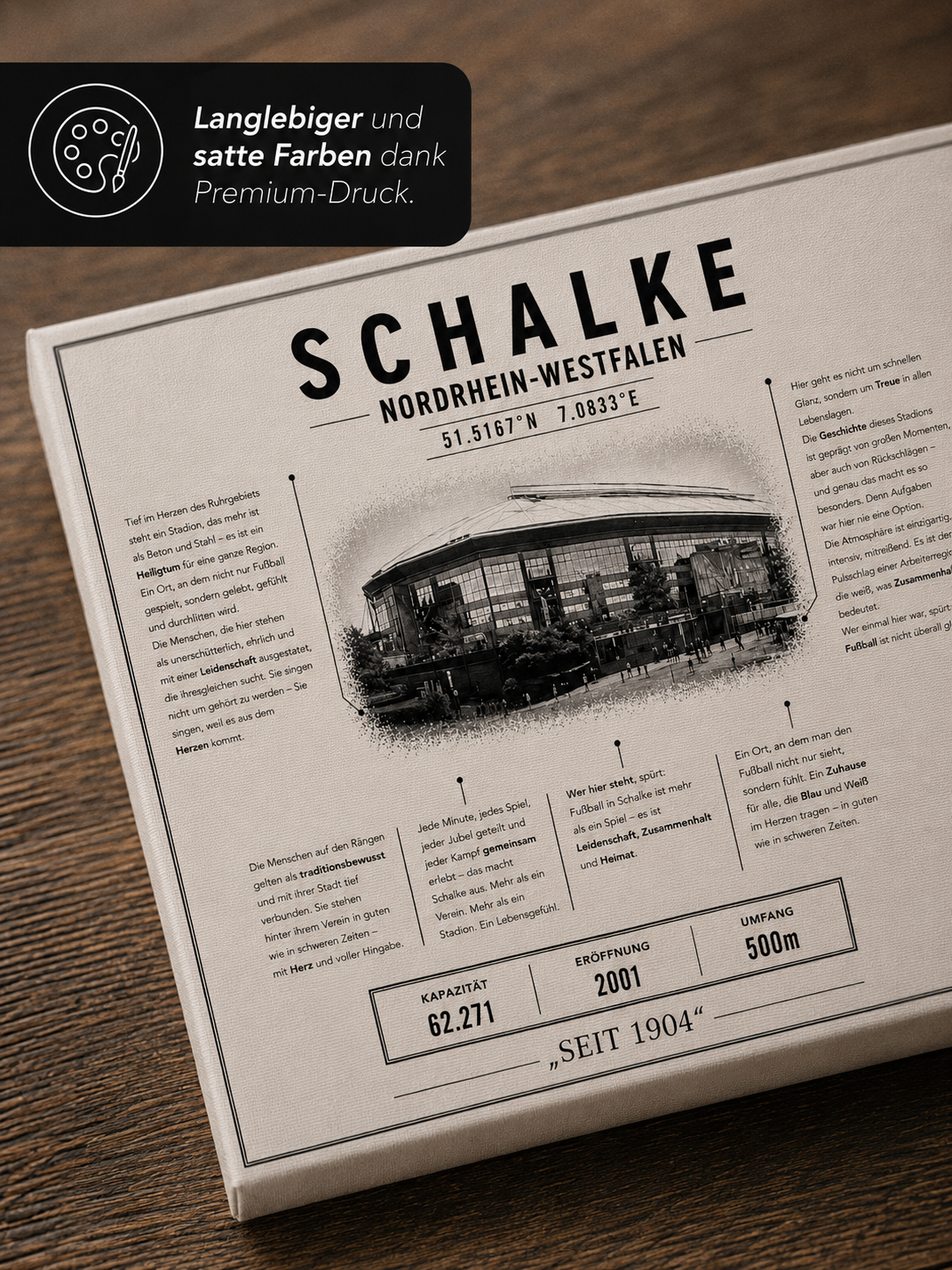 Schalke Stadion Leinwand – Detailansicht 3